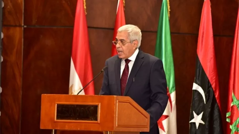 المستشار أحمد خليل: مصر تبذل جهودا كبيرة للتصدي للجرائم المالية