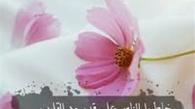 من جميل ما قرآنا..كسب القلوب أولى من كسب المواقف