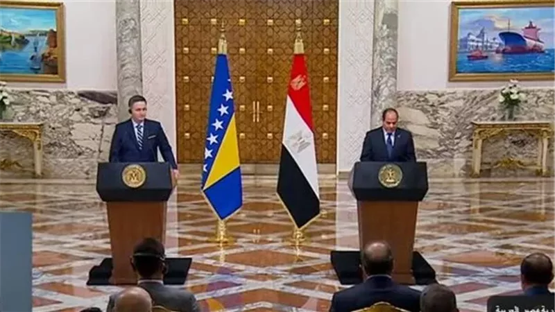 السيسى :توافقت مع مجلس رئاسة البوسنة والهرسك حول ضرورة تهدئة التوتر الاقليمى