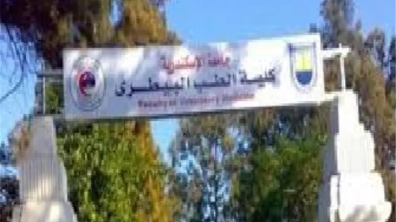 كلية الطب البيطرى تنظم قافلة بيطرية تدريبيةلقرية أبيس بالإسكندرية