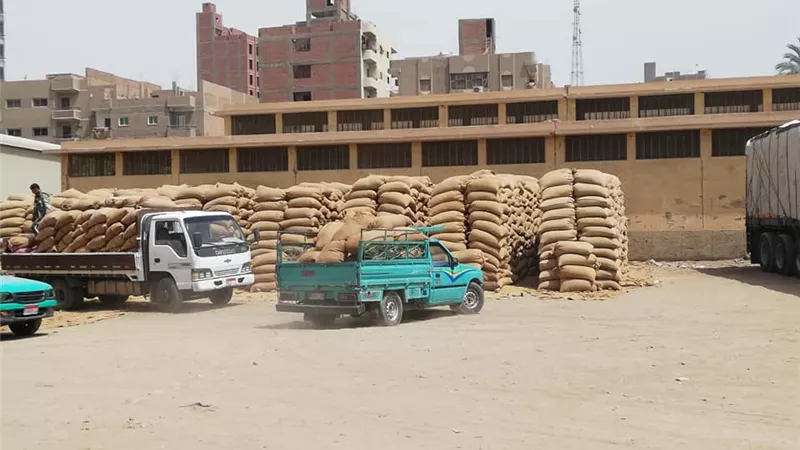 محافظ أسيوط: استقبال 31 ألف طن قمح بـ 28 شونة وصومعة
