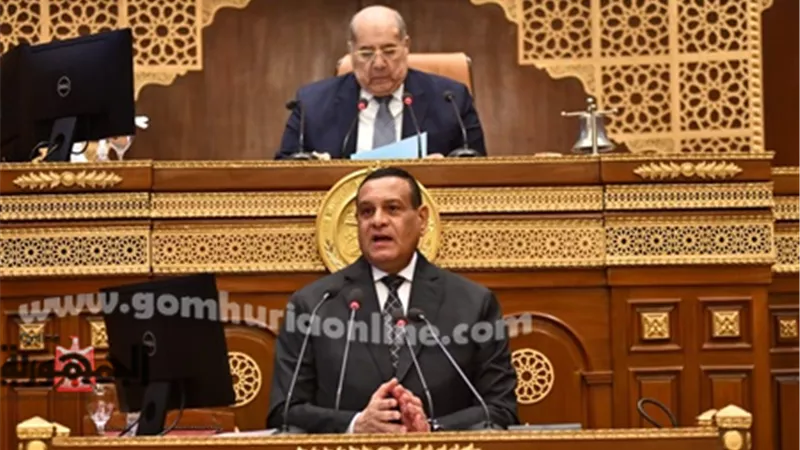 التنمية المحلية أمام مجلس الشيوخ:229 مليون جنيه للمشروعات الصغيرة
