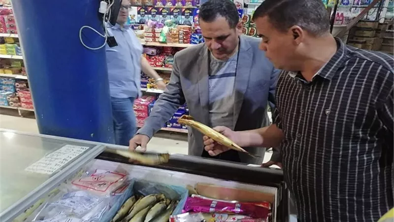 استمرار الحملات التفتيشية على الأسواق والمخابز بمراكز المنيا