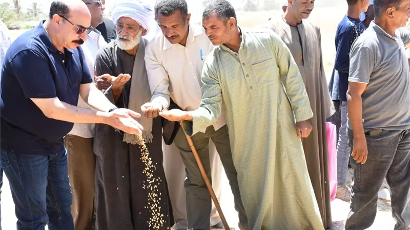 محافظ أسوان يتابع حصاد محصول القمح بقرية الحكمة