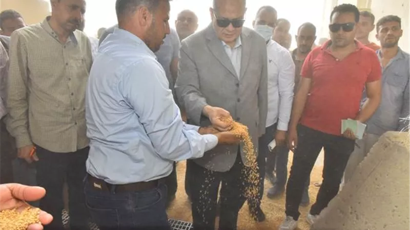 محافظ أسيوط:حصاد 101 ألف فدان قمح وتوريد 35 ألف طن للشون والصوامع