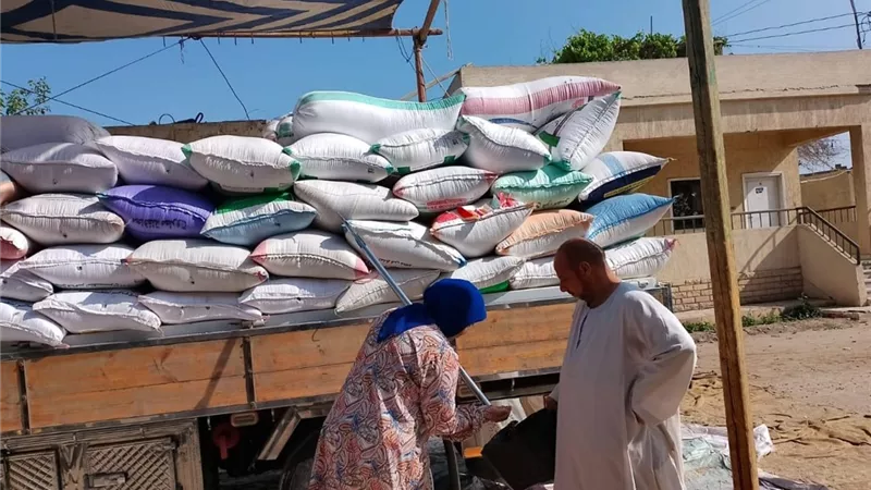 توريد 2160 طن و 984 كيلو قمح اليوم لشون إيتاى البارود