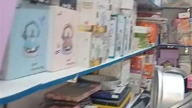 3 مليار و218 مليون جنيه قروضا من «مشروعك» لشباب الشرقية