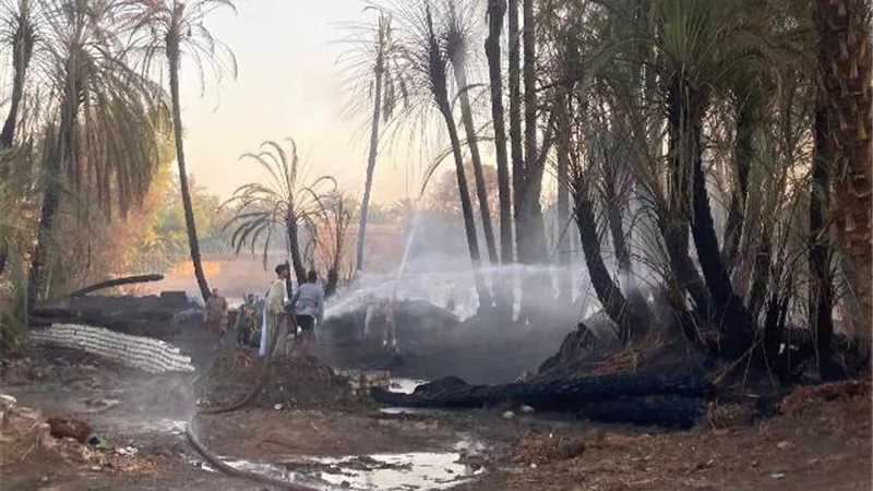 السيطرة على حريق اندلع ببعض أشجار النخيل في أسوان