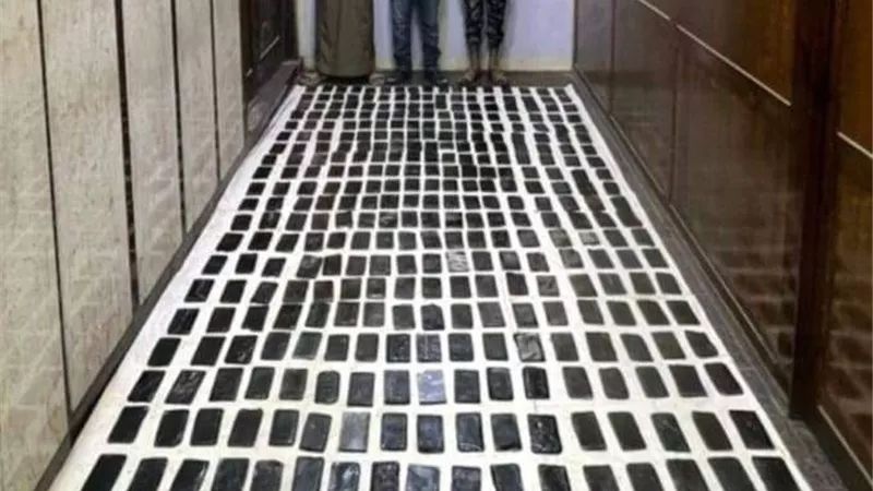 ضبط 8 عناصر إجرامية بحشيش فى الإسكندرية