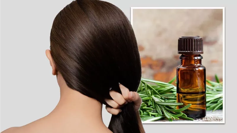 اكتشفي فوائد زيت الروزماري لشعرك.. وكيف يعالج القشرة والتساقط