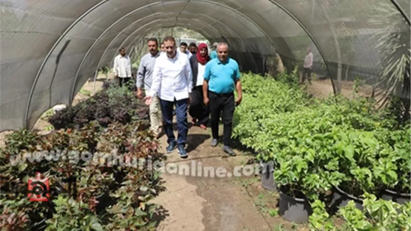 تخفيضات 50 % علي نباتات الزينة والزهور من مشتل محافظة المنوفية