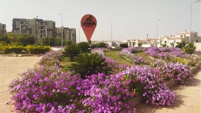 100 ألف عود من زهور الربيع يغزو مداخل ومحاور مدينة الشروق.. صور