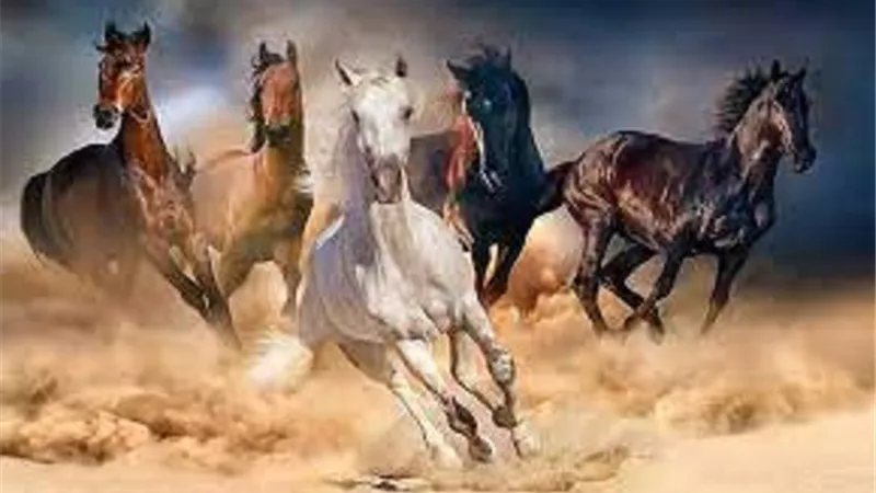 بعد ضبطها داخل 4 مطاعم بكميات كبيرة حكم اكل لحوم الخيل