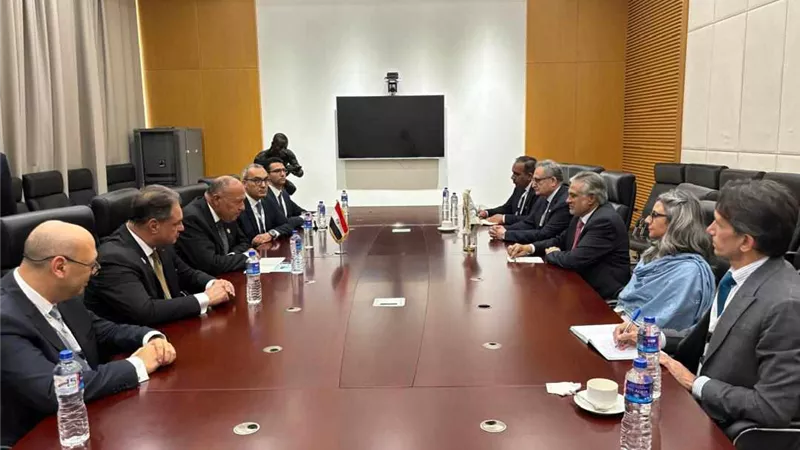 وزير الخارجية يلتقي نظيره الباكستاني على هامش القمة الإسلامية