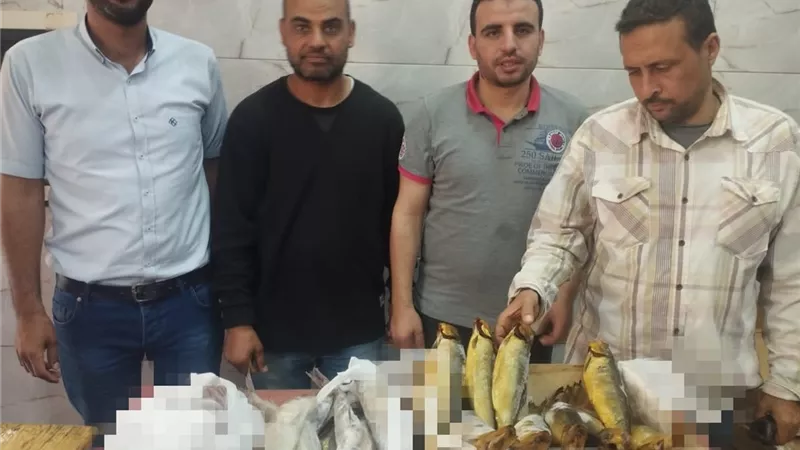 ضبط 140 كرتونة رنجة و33 كيلو فسيخ منتهية و 30 مخبز مخالف