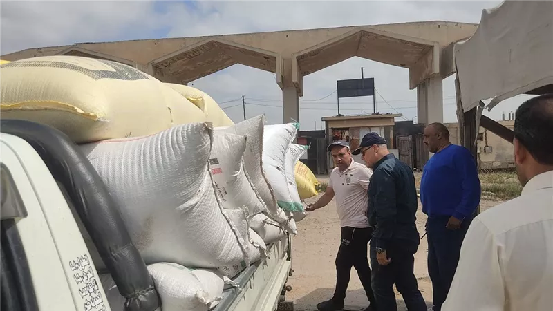 توريد 3405 طن قمح فى ختام اليوم ال20 بشونة ابو حمص