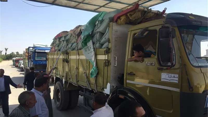 التموين : توريد 1.8 مليون طن قمح محلي حتي الآن