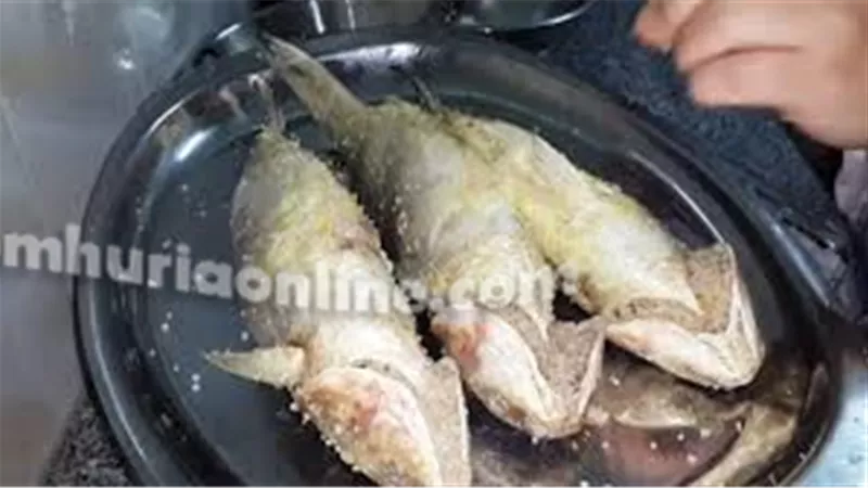 الفسيخ ينهي حمله الاسكندريه علي الاسماك