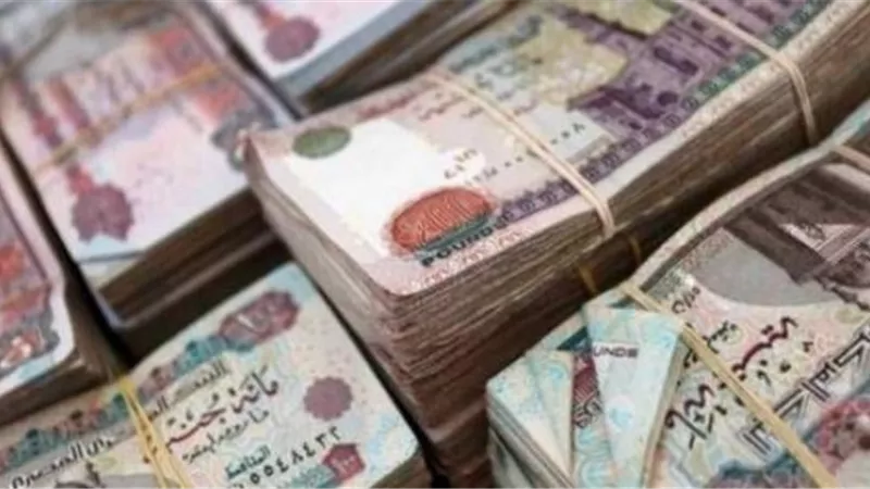 80 مليون جنية فى مغسلة المخدرات