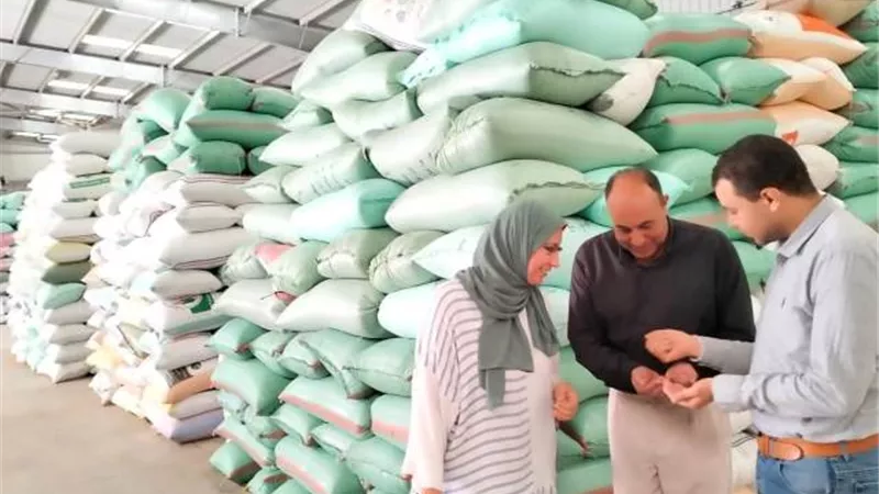 توريد 3750 طن و914 كيلو قمح اليوم ال21 بشون كوم حمادة