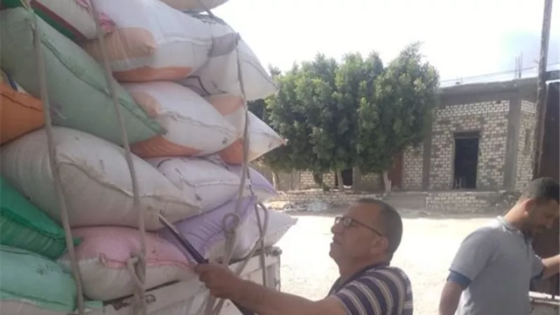 توريد 3931 طن و348 كيلوقمح اليوم لشون إيتاى البارود