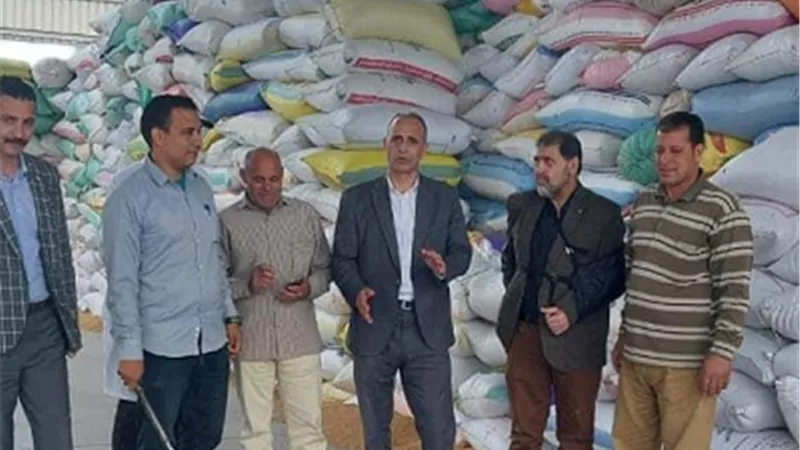 توريد 112919 طن قمح لشون وصوامع البحيرة