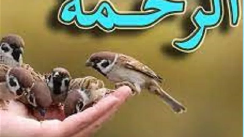 رحمة المسلم لغيره هل تقتصر على المسلمين فقط
