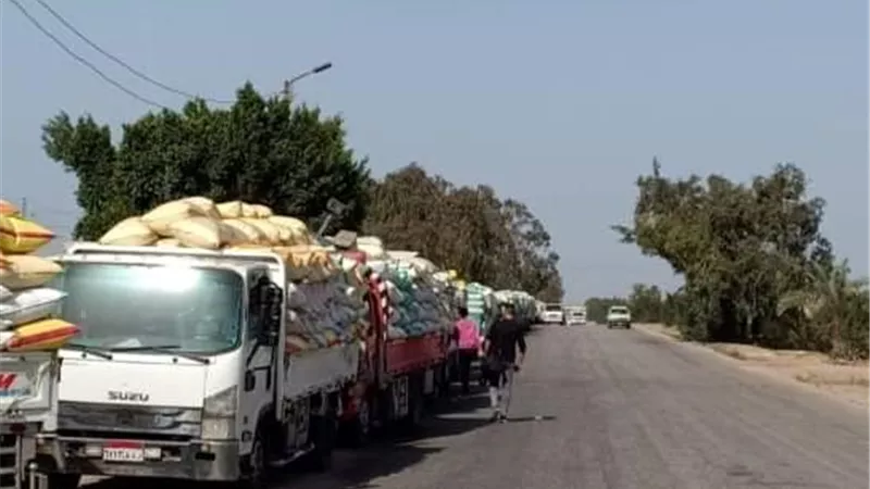 توريد 445 ألفا و351 طن قمح لصوامع وشون الشرقية