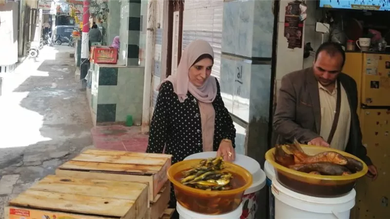 محافظ كفرالشيخ: تحرير 7 محاضر مخالفات تموينية بمطوبس