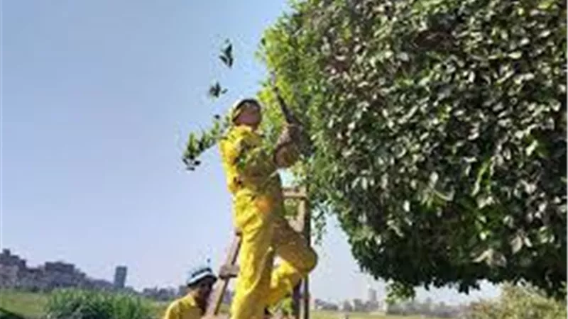 تكثيف أعمال الرش بالكنائس والحدائق والمتنزهات في الدقهلية