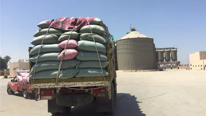 التموين:مواقع إستلام القمح تفتح أبوابها للمزارعين فى شم النسيم
