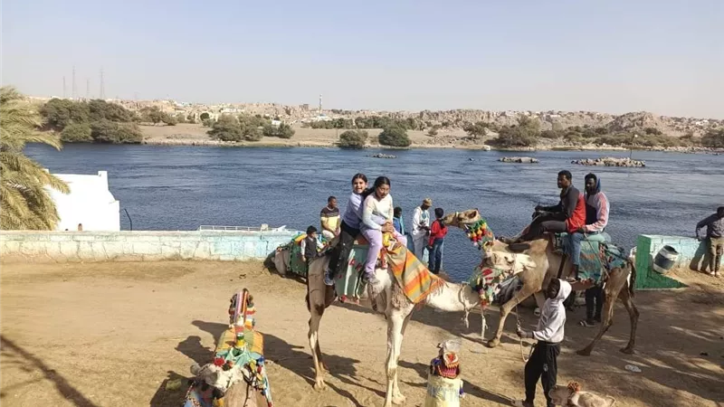 محافظ أسوان يتابع إستقبال الحدائق والمتنزهات والجزر النيلية