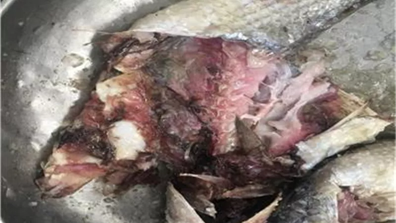 بيطري المنيا يضبط نصف طن أسماك مملحة ولحوم ودواجن فاسدة