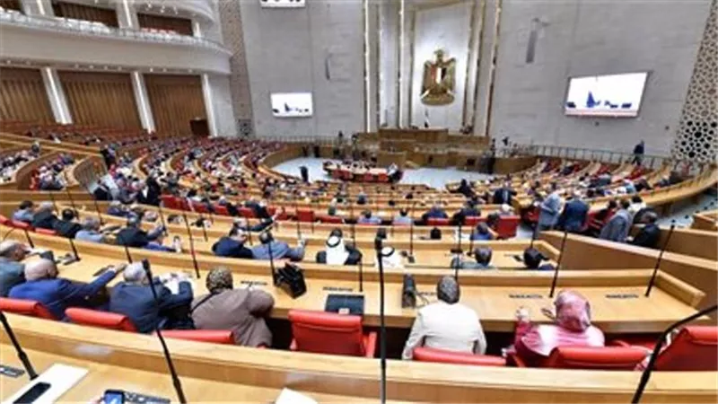 النواب:نؤيد وندعم خطوات السيسي الثابتة للحفاظ على حقوق الشعب الفلسطيني