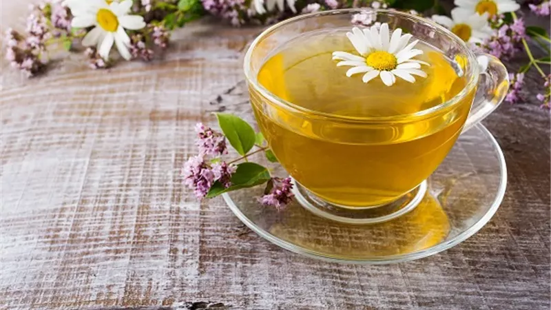 فئات عليها تجنب تناول البابونج