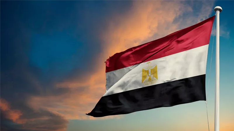 مصر تستضيف وفودا من قطر وأمريكا والفصائل الفلسطينية للتوصل إلى هدنة في غزة
