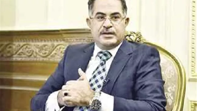 وهدان: الدولة المصرية قوية وقادرة على حماية أمنها القومي والمساس بحدودها خط أحمر