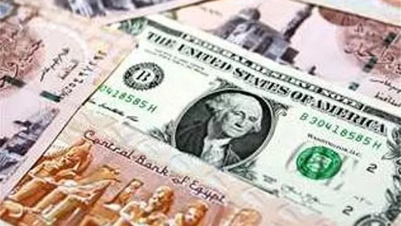 استقرار أسعار صرف الدولار مقابل الجنيه المصري