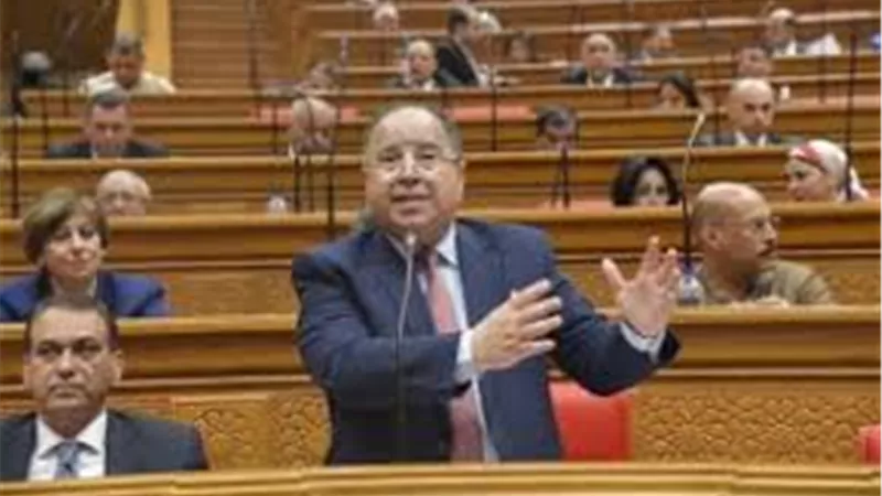 وزير المالية: جميع البيانات متاحه لكافة الجهات