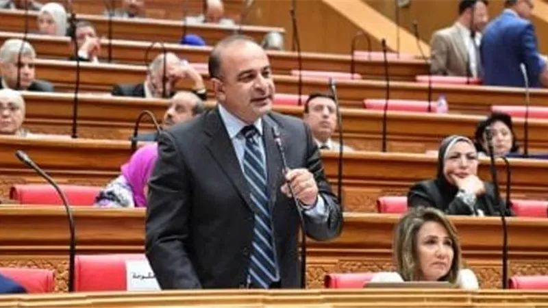 نائب وزيرة التخطيط أمام النواب: قواعد صارمة للقروض الخارجية