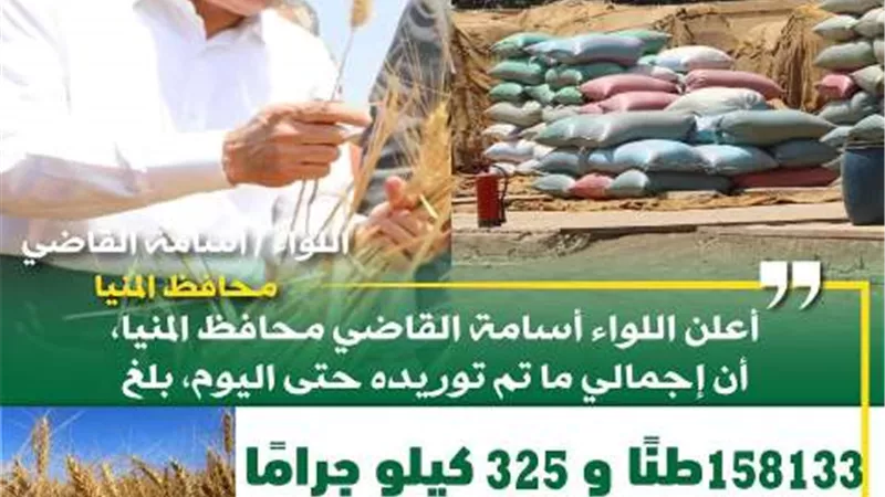 شون وصوامع المنيا تستقبل 158 ألف طن من محصول القمح