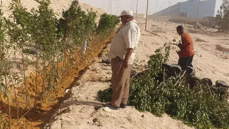 صيف بلا أتربة بالمنطقةالصناعية بعتاقة بالقطاع الاول بمدينة السويس
