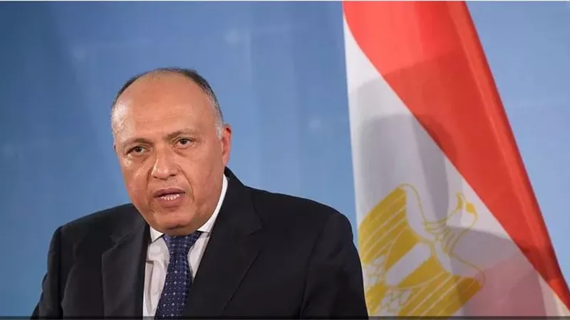 وزيرا خارجية مصر وأمريكا يبحثان الأوضاع الأمنية والإنسانية في رفح الفلسطينية