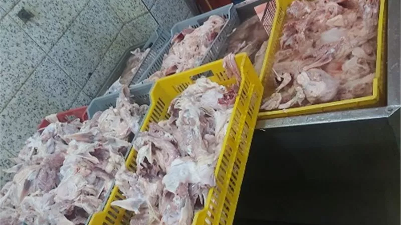 في حملات لضبط الأسواق.. تموين القليوبية تحرر 150 محضرًا لمنشآت مخالفة