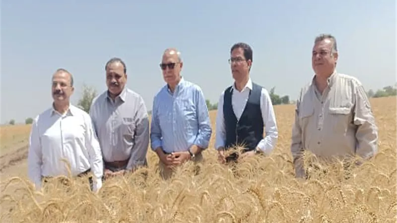 الهجان: توريد القمح مهمة قومية .. والجيزاوي: زراعة ٦٠ فدانًا هذا العام بتقاوي محسنة