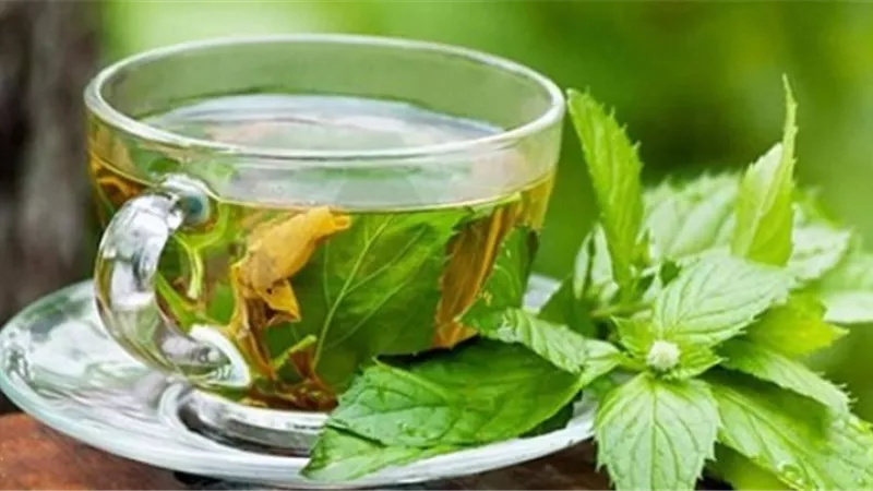 أضرار تناول الماء بالنعناع