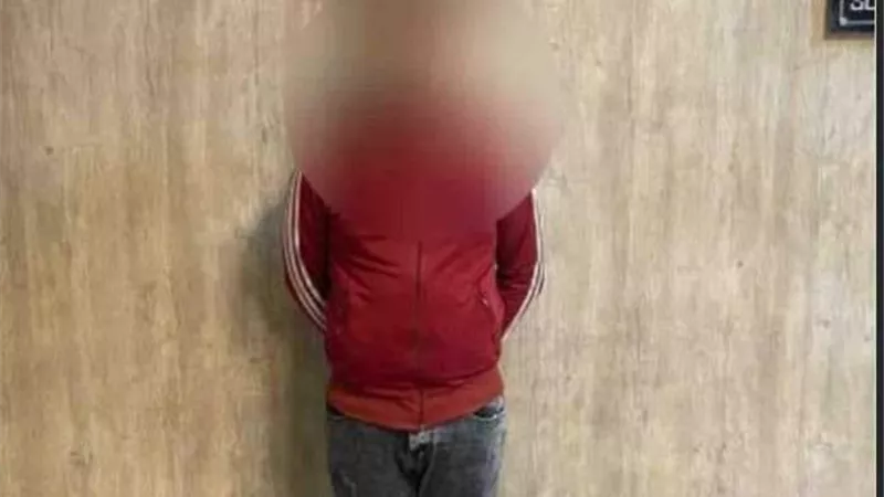 حشيش و 6 قطع أسلحة نارية وذخائر بحوزة عنصر إجرامى بالجيزة