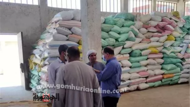 توريد 5555 طن و 152 كيلوا قمح اليوم لشون إيتاى البارود
