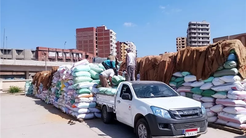 توريد 5871 طن و 962 كيلوا قمح اليوم لشون إيتاى البارود