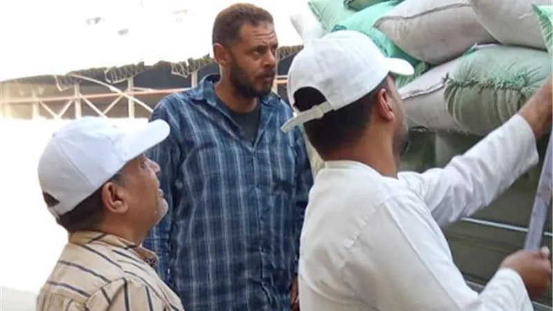 توريد 161687 طن قمح لشون وصوامع البحيرة